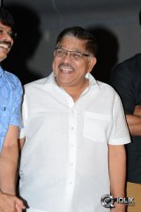 Sarrainodu Movie Release Press Meet